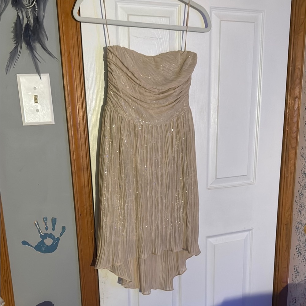 Express Gold Dress